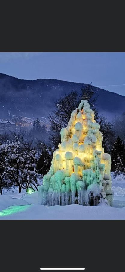 Hotel Rosengarten Tarvisio Zewnętrze zdjęcie